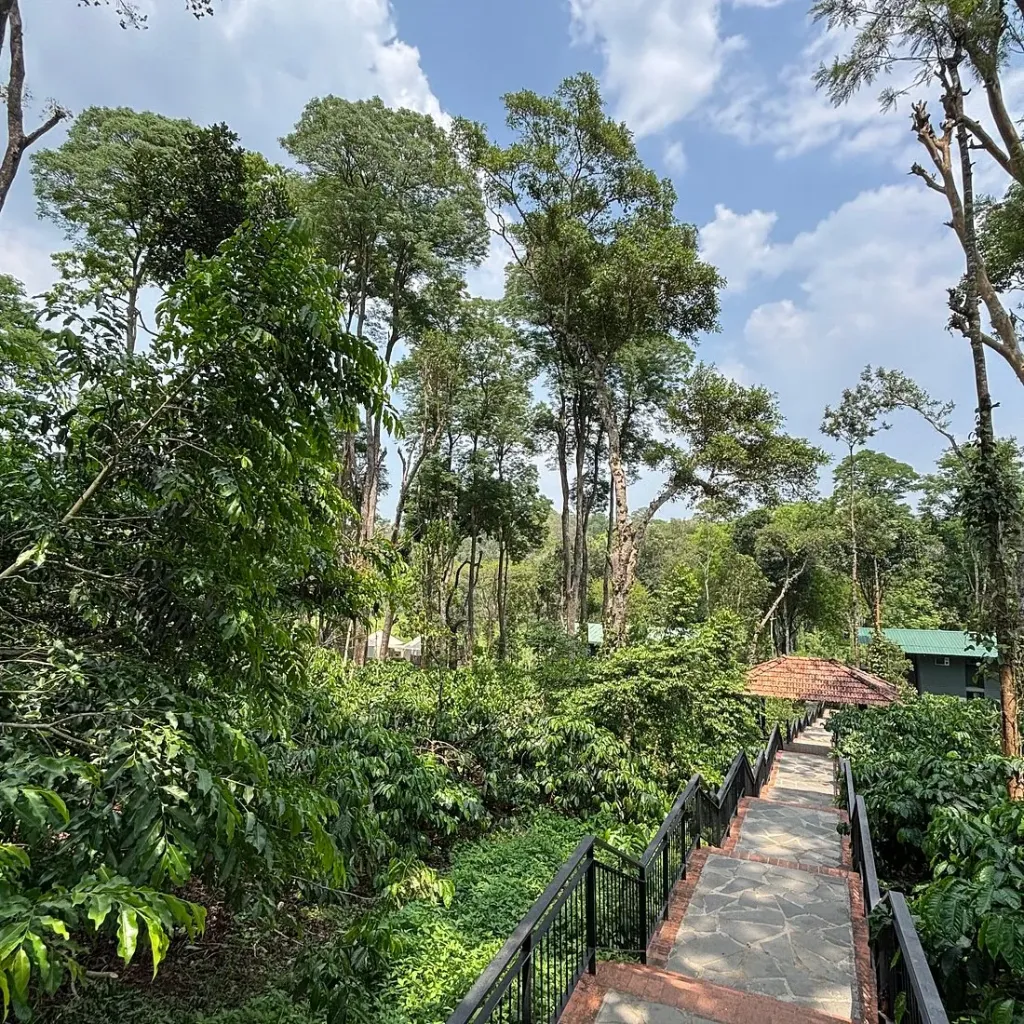 Nagarhole Art Retreat