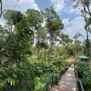 Nagarhole Art Retreat